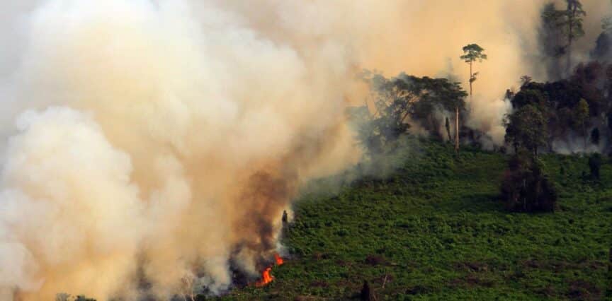 incendi indonesia compensazioni carbonio